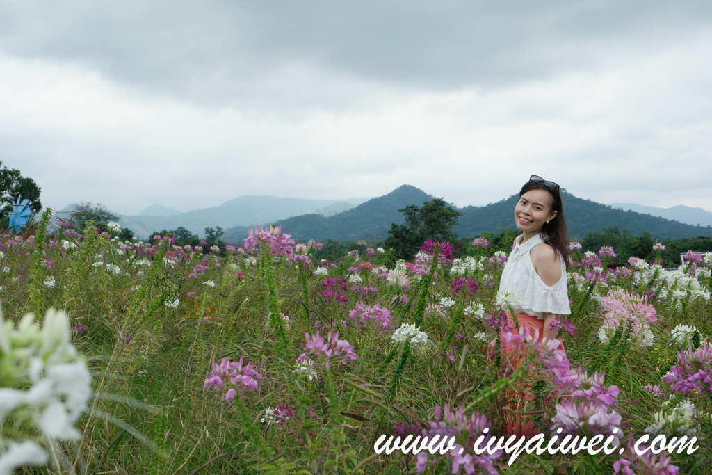 5D4N Hea 爆 in Khao Yai & Shopping spree in Bangkok