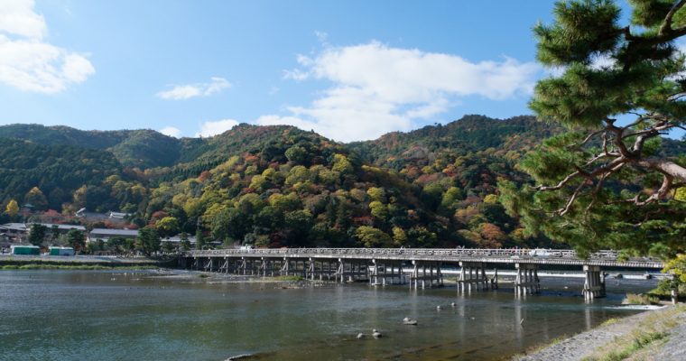 Things to do in Arashiyama (Autumn)