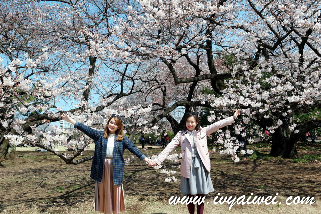 Japan Trip 2017: 7D6N Spring in Tokyo & Hakone