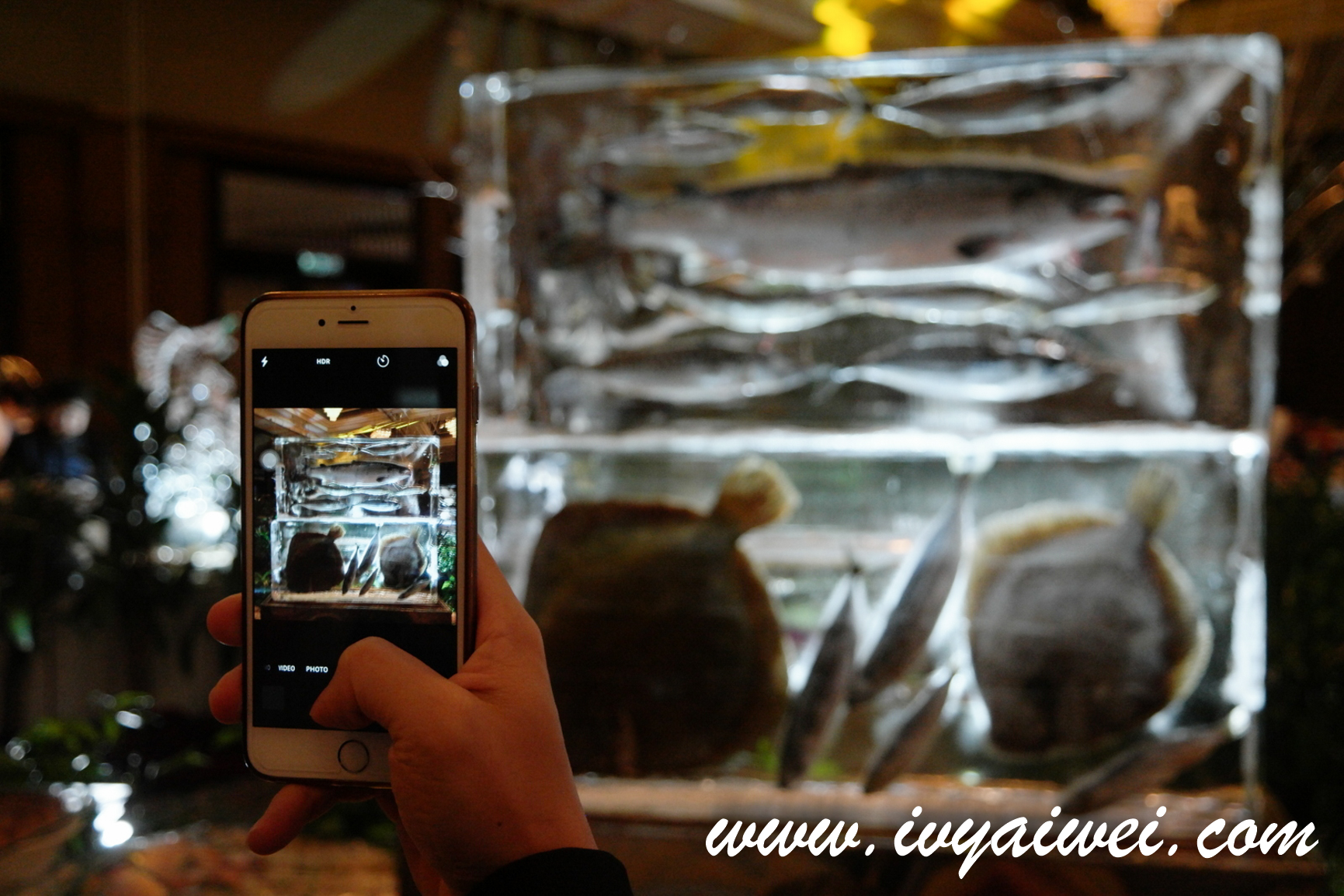 Norwegian Seafood Gala Dinner 2017