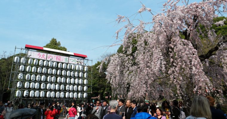 TOKYO: Ueno Park 上野公園