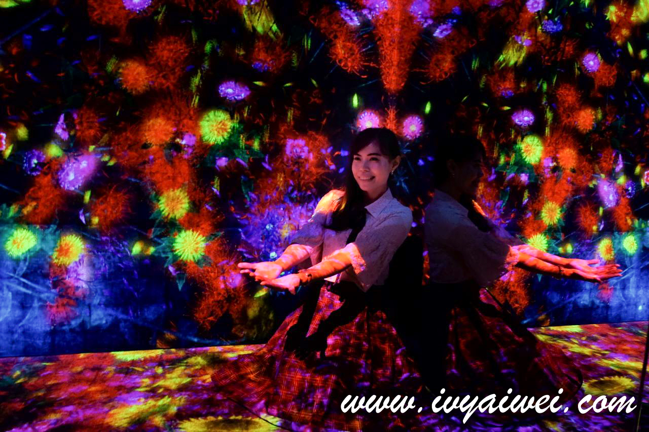 TOKYO: MORI Building DIGITAL ART MUSEUM – teamLab Borderless