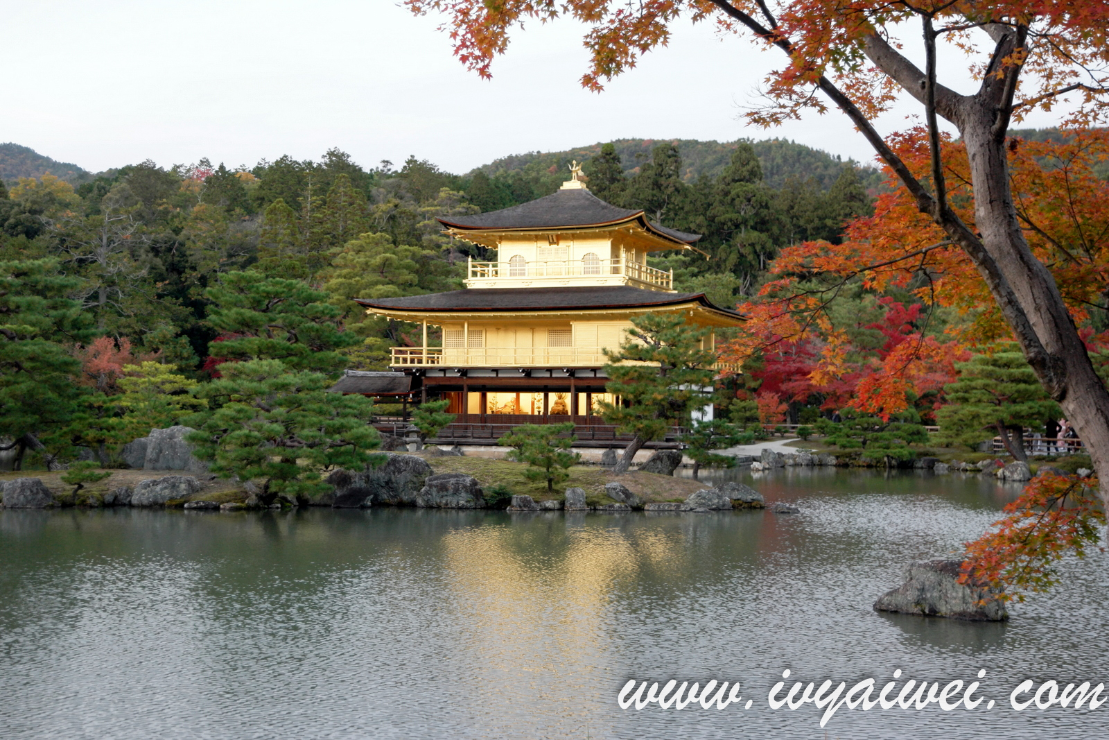 Things to do in Kyoto (Autumn)