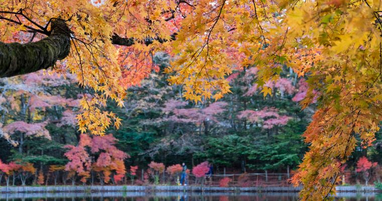 Things to do in Karuizawa