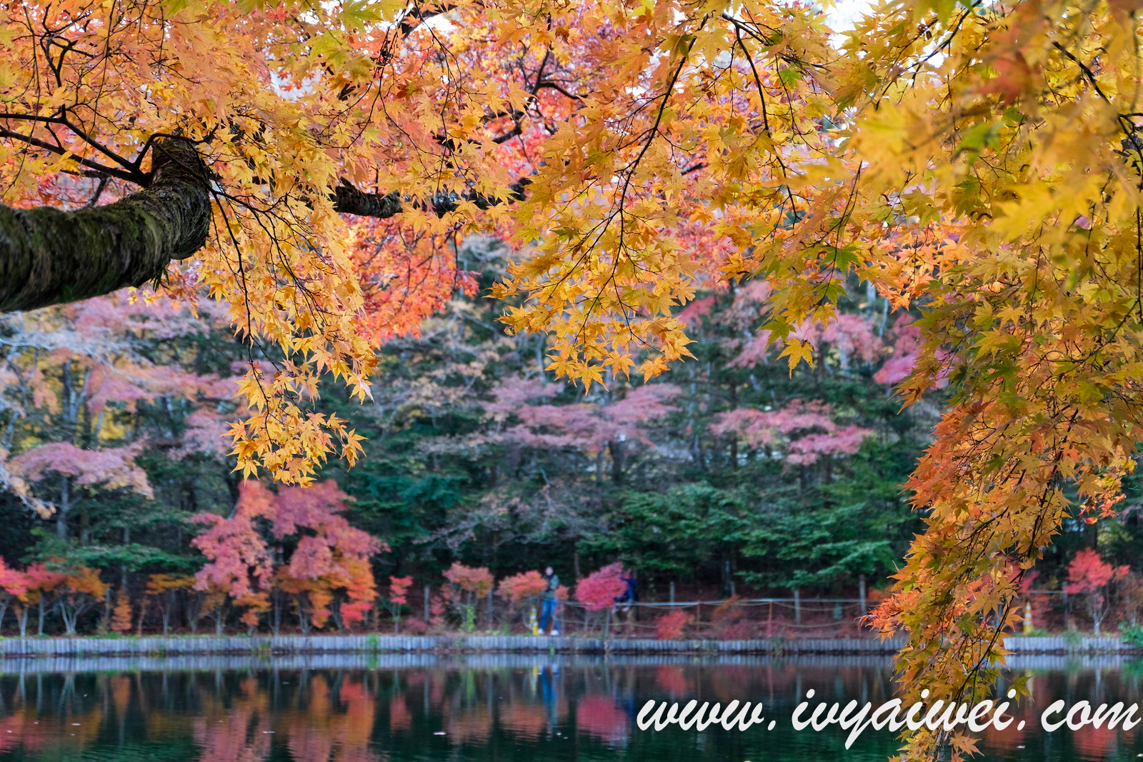 Things to do in Karuizawa