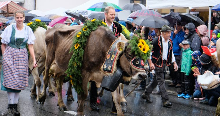 SWITZERLAND: Entlebucher Alpabfahrt – the annual Swiss Festival